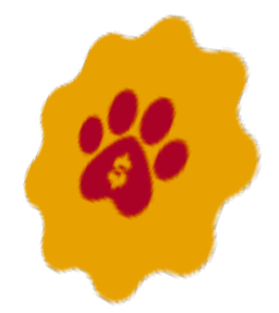 Paw Circular Perspective