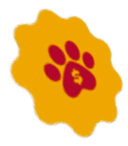 Paw Circular Perspective